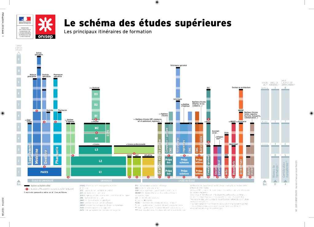 Le schéma des études supérieures