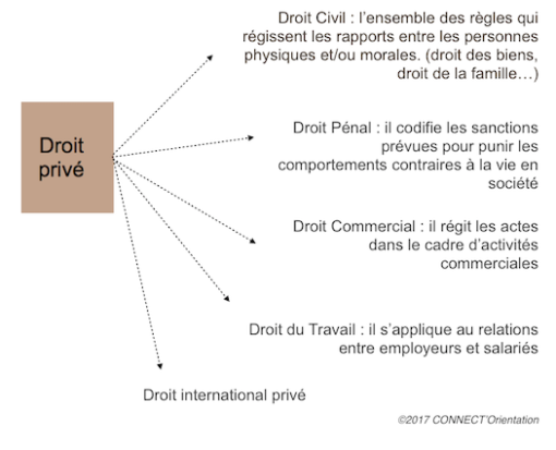 Droit - CONNECT'Orientation