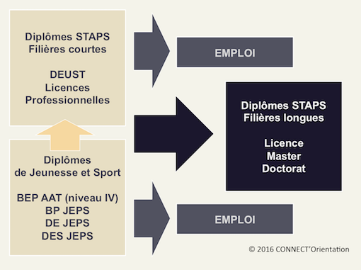 Filière sport formations