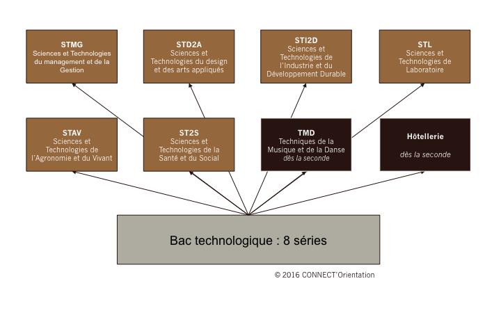 Bac Technologique : 8 séries