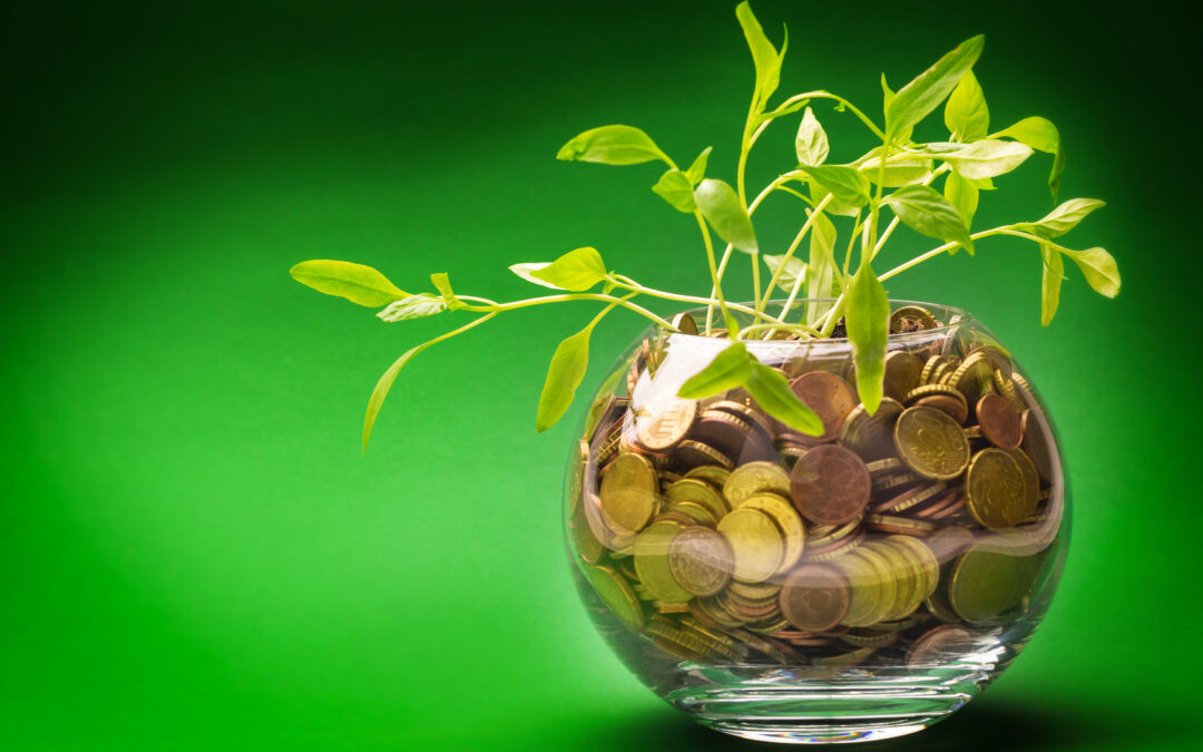 Plants growing In savings coins – Investment